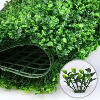 Cỏ cải xoong loại 1 Cỏ cải xoong loại 1