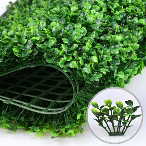 Cỏ cải xoong loại 1 Cỏ cải xoong loại 1